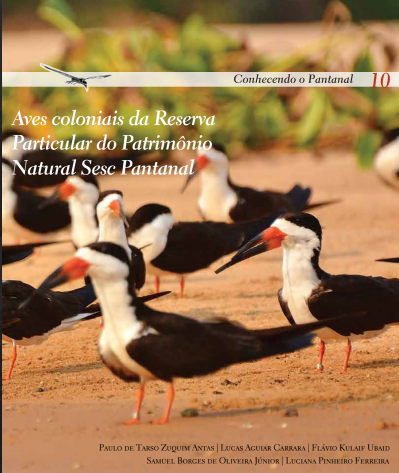 Conhecendo Pantanal 10 – Aves coloniais da Reserva Particular do Patrimônio Natural Sesc Pantanal