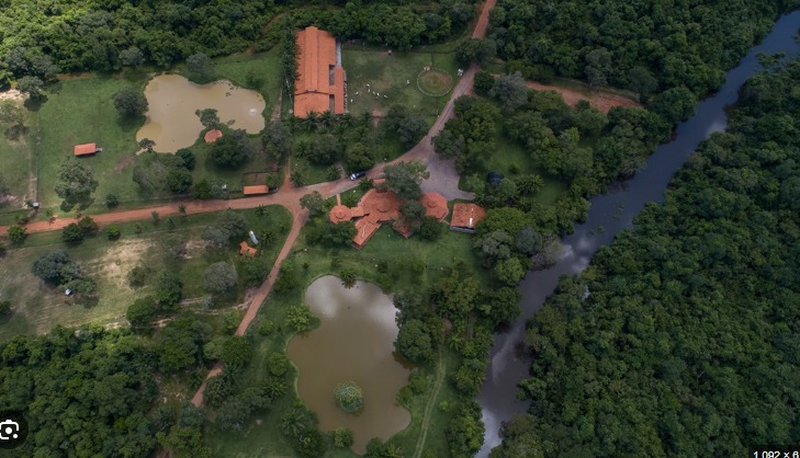 Contato com a natureza do Pantanal e música marcam o primeiro Domingo no Parque do ano