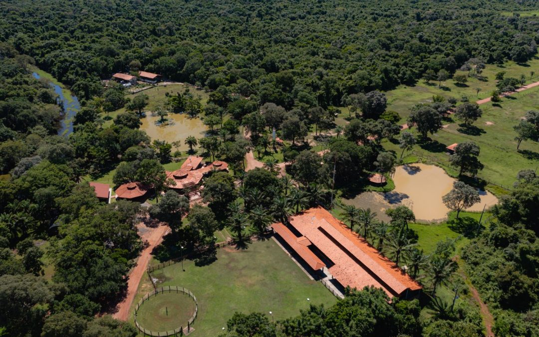 Mês da Água: Domingo no Parque terá atividade especial de educação ambiental além de passeios gratuitos