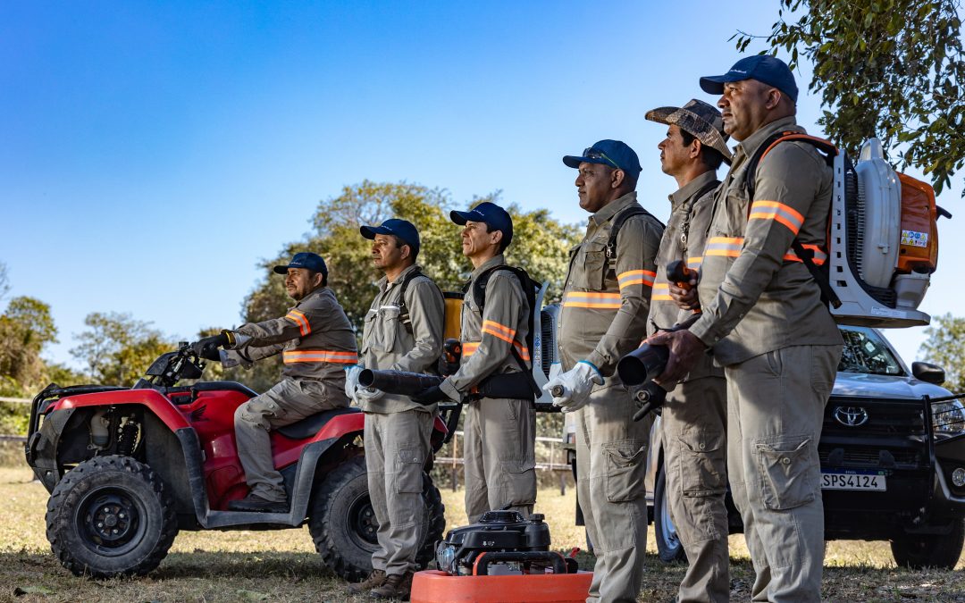 Sesc Pantanal abre novo dia de inscrições presenciais para vagas de brigadista em Poconé  