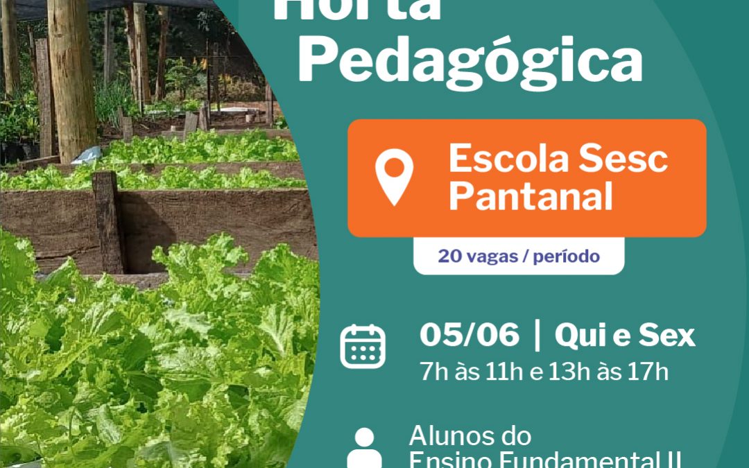 Atividades – Horta Pedagógica