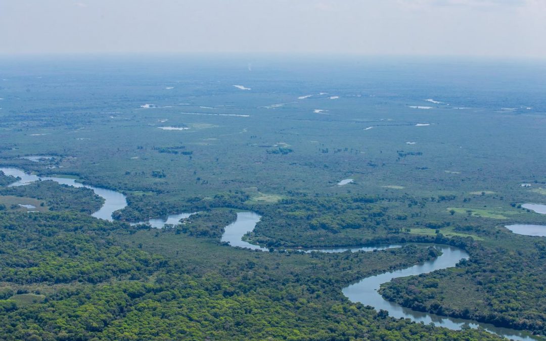 Maior reserva privada do Brasil completa 29 anos como referência em conservação, pesquisa e desenvolvimento sustentável no Pantanal