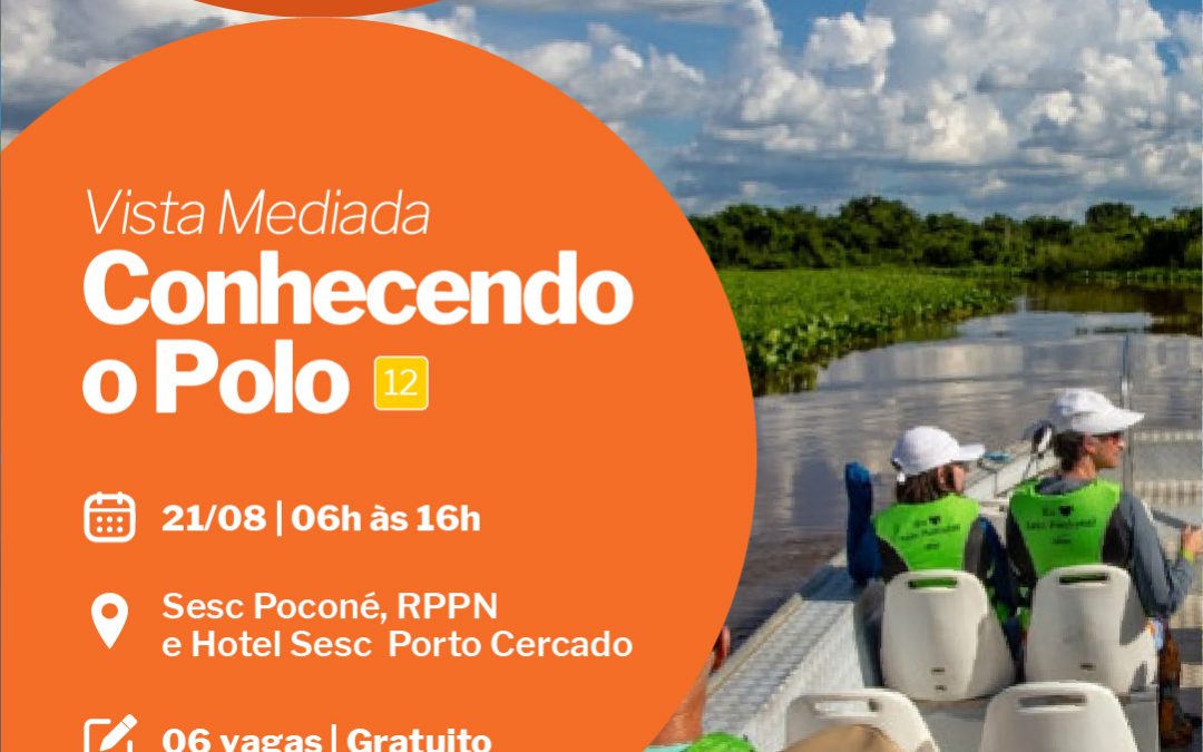 Vista Mediada