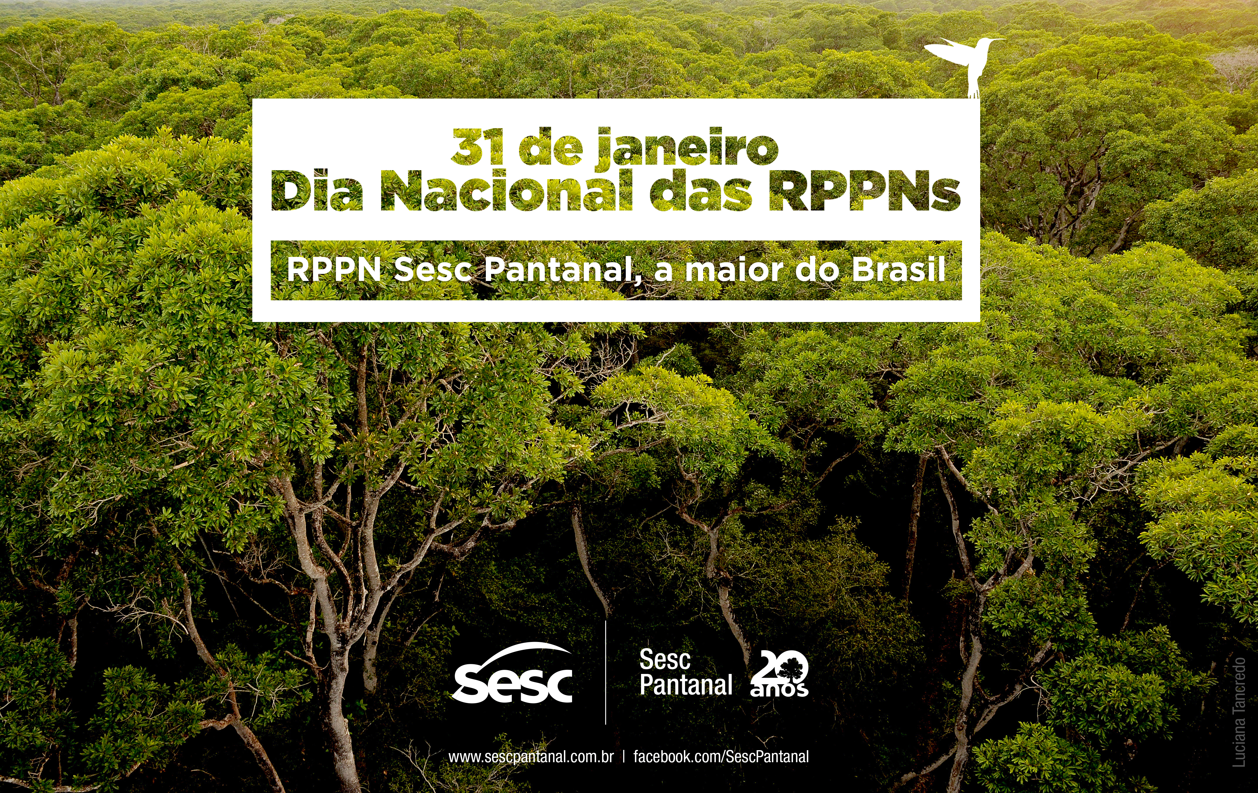 Você sabe o que é uma RPPN?