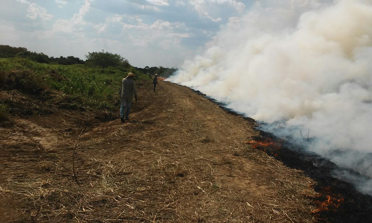 Fogo no Pantanal: Reserva sofre com incêndio