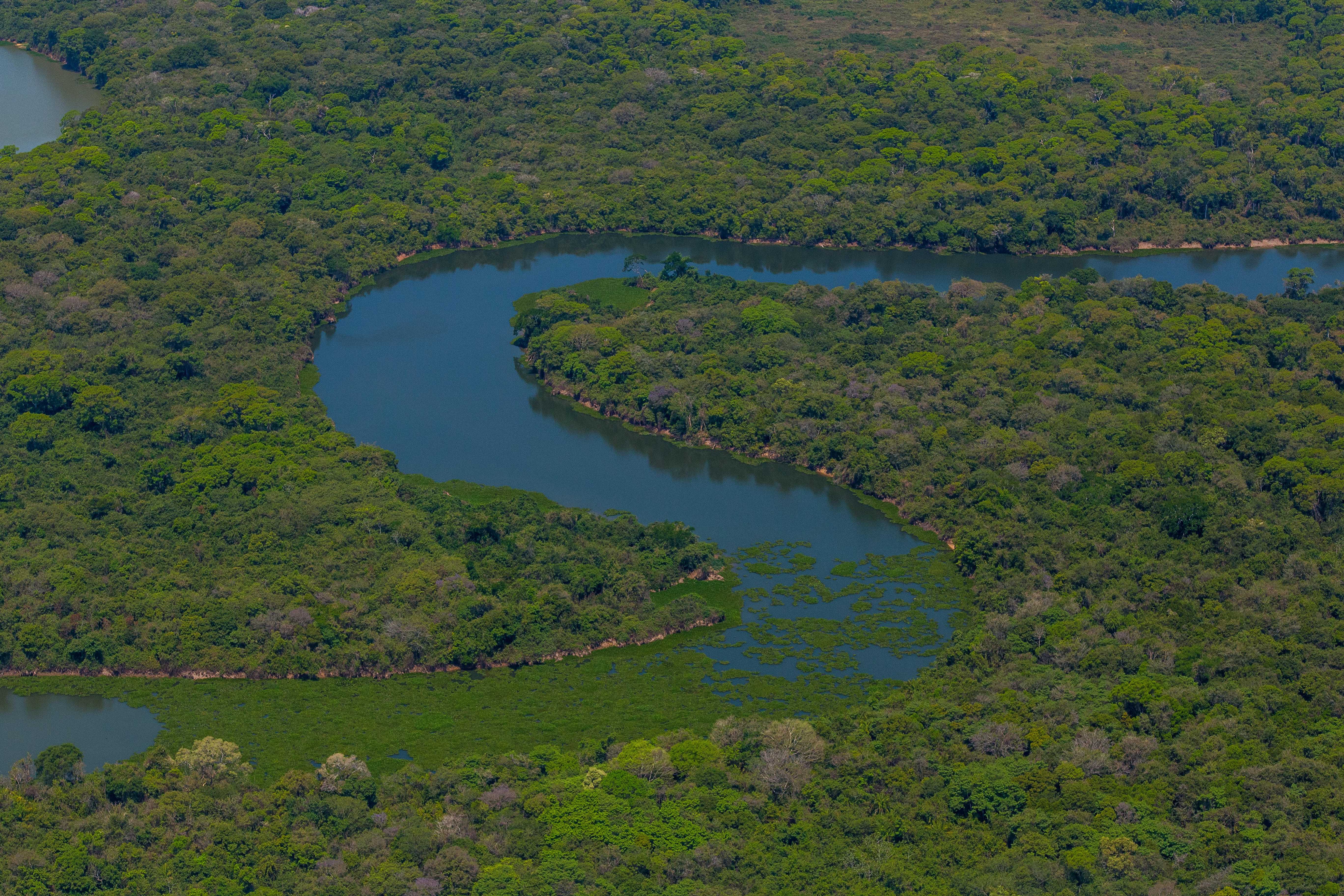 Sesc Pantanal celebra Dia Mundial das Áreas Úmidas