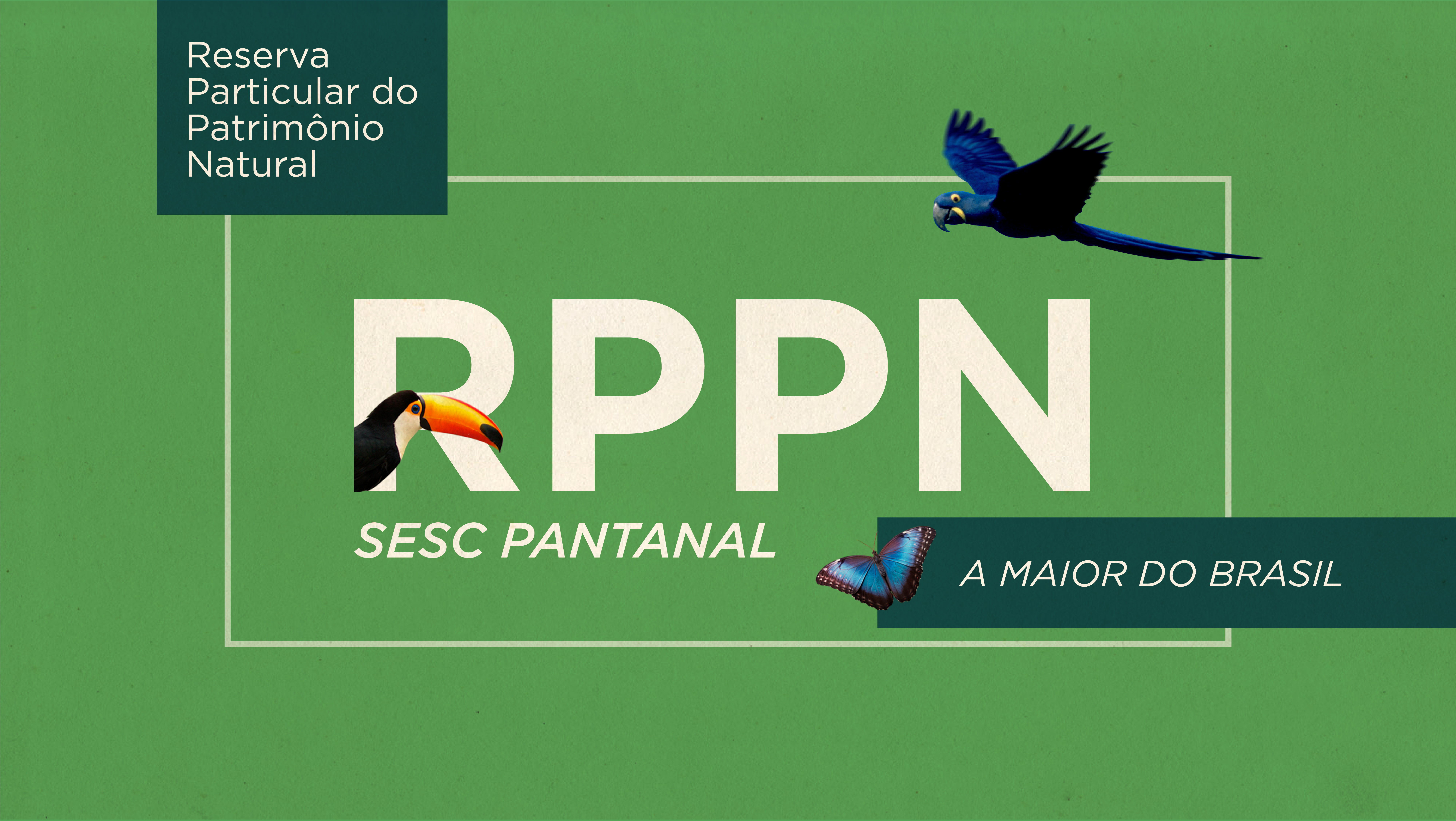 Pantanal mato-grossense estará presente em congressos nacionais