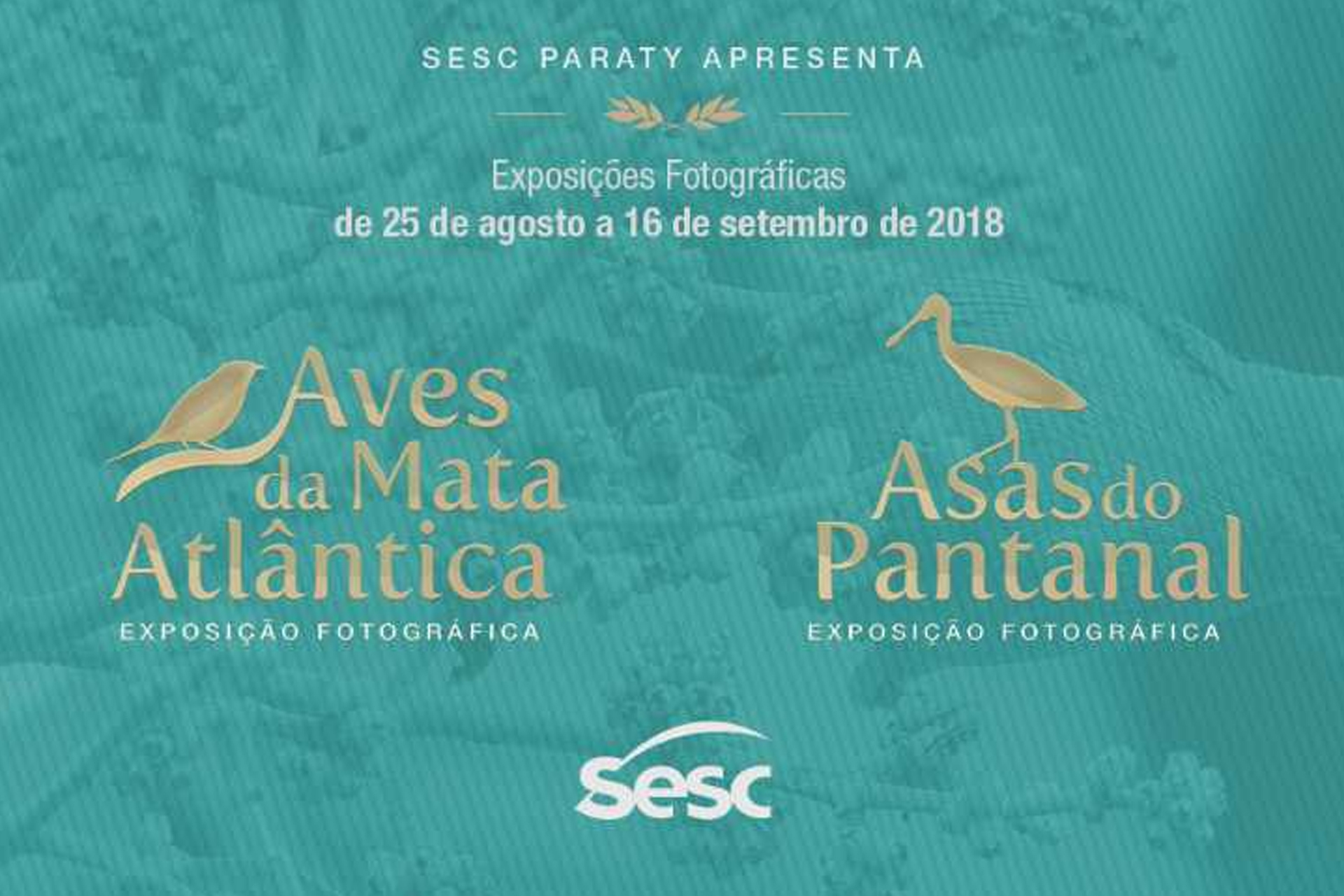 Aves fotografadas no Pantanal mato-grossense são destaque em exposição no Rio de Janeiro