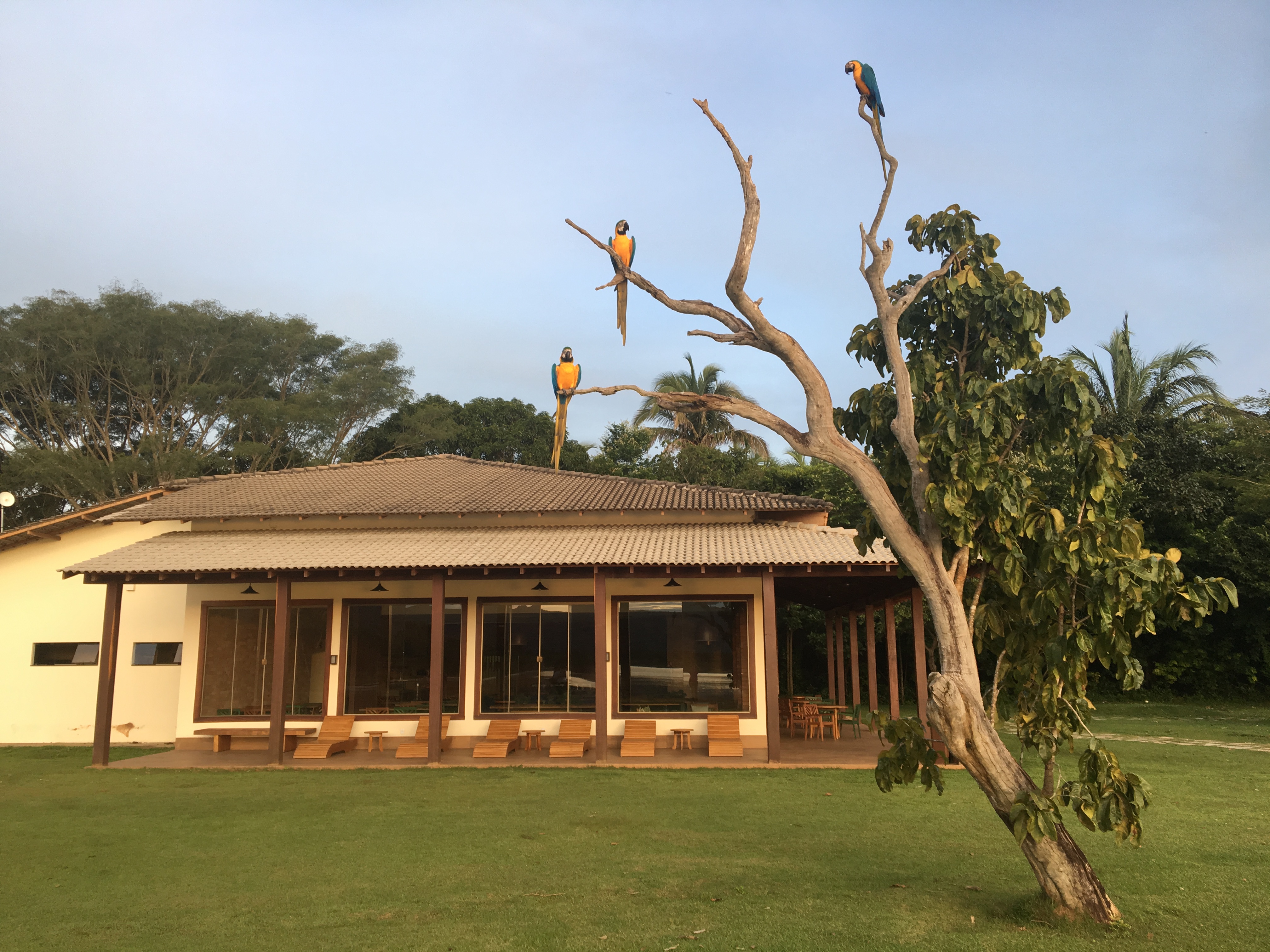 Sesc Pantanal inaugura restaurante Buritizal nesta quarta e estimula turismo na região de Rosário Oeste e Nobres