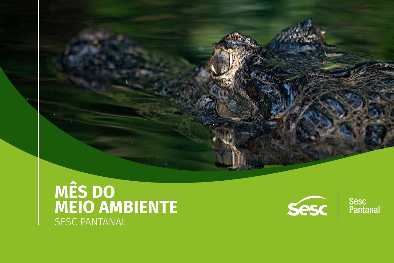 Sesc Pantanal lança desafio e manifesto pela natureza no Dia do Meio Ambiente