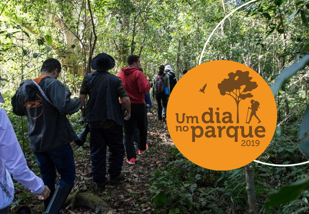 Reserva Natural e Parque do Sesc Pantanal participam da campanha nacional Um dia no parque