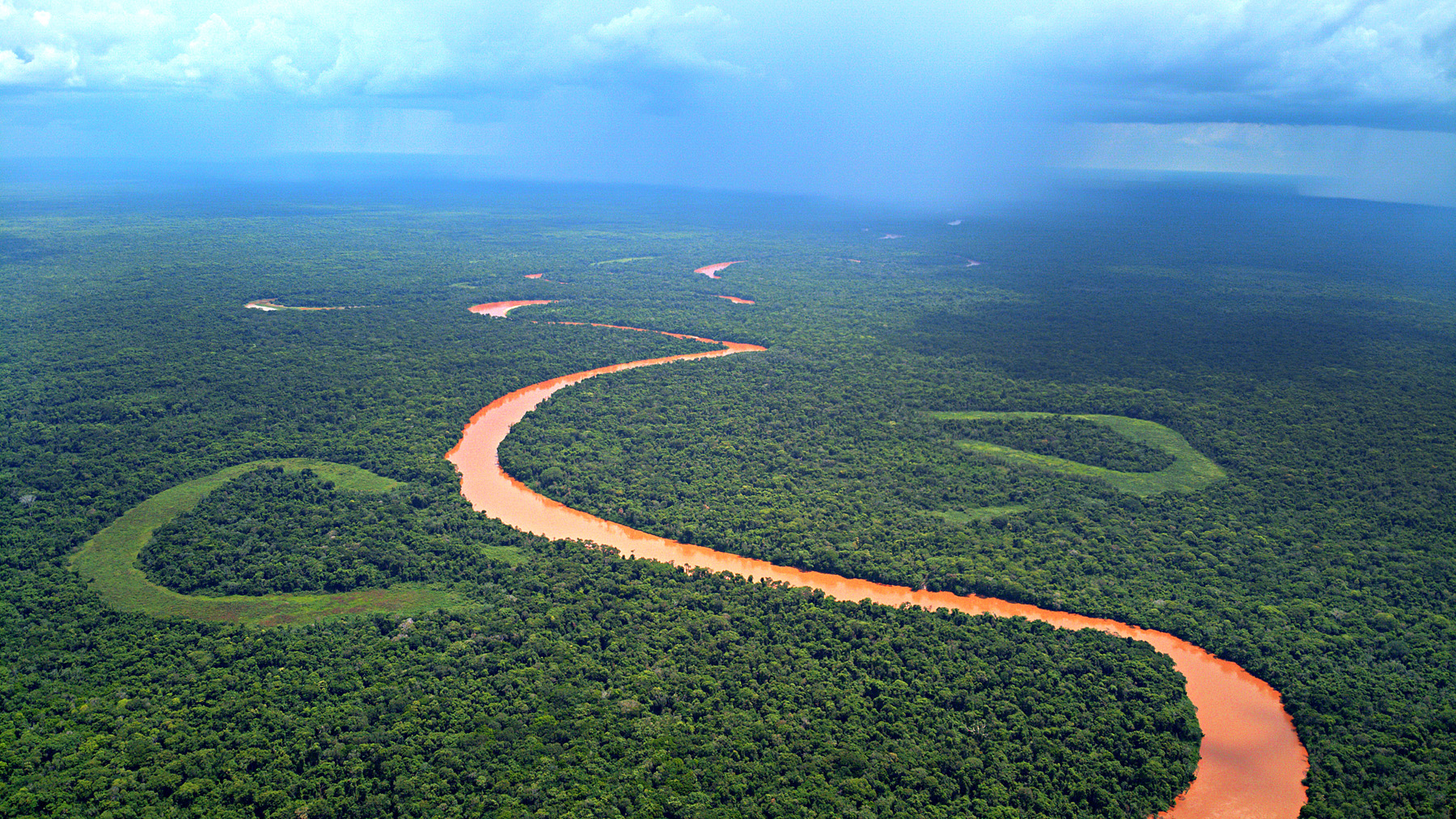 No dia do Pantanal, comitiva vai a Brasília pedir mais atenção para a maior planície alagável do planeta
