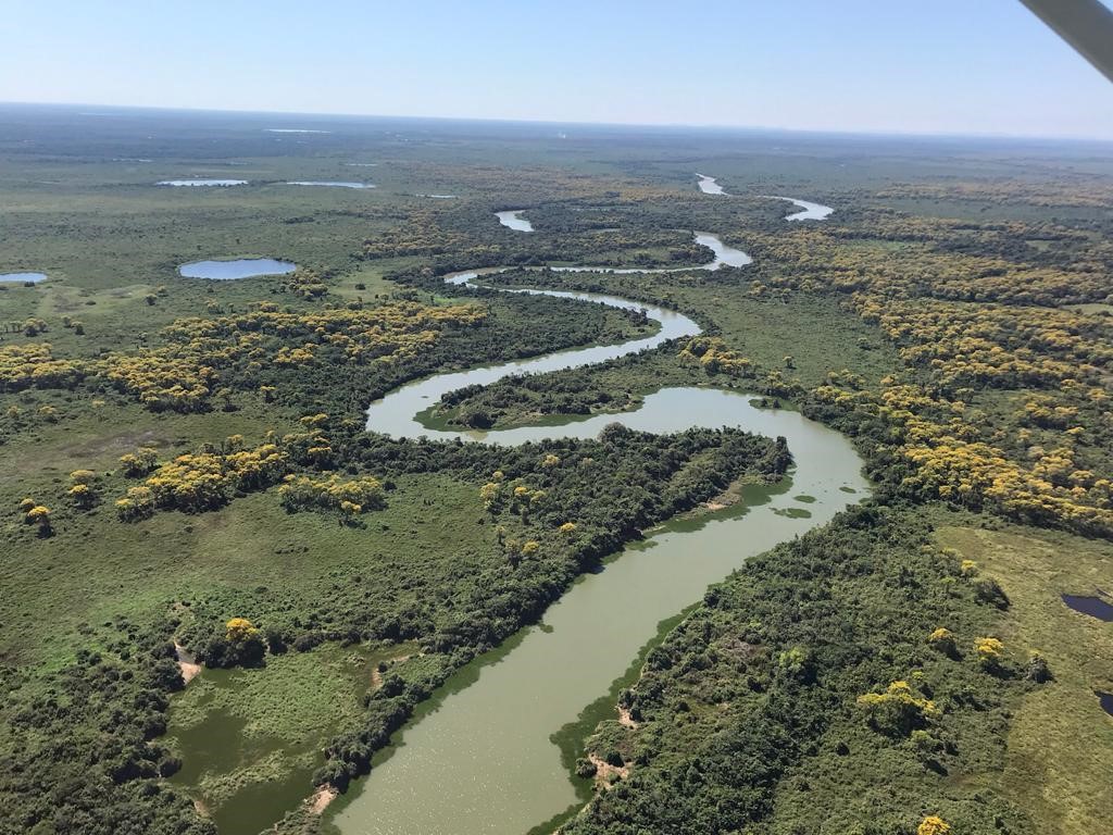 Maior do país, RPPN Sesc Pantanal reúne ecossistemas indispensáveis para espécies ameaçadas como a onça-pintada