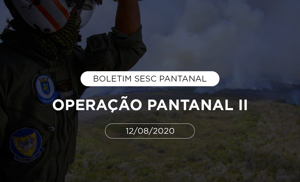 BOLETIM Operação Pantanal II 12/08