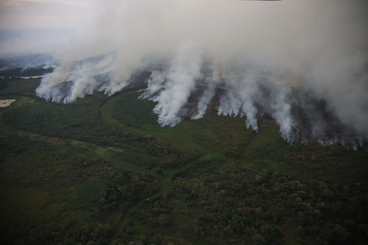 Incêndios que atingem o Pantanal já queimaram 380 mil hectares em Poconé e Barão de Melgaço