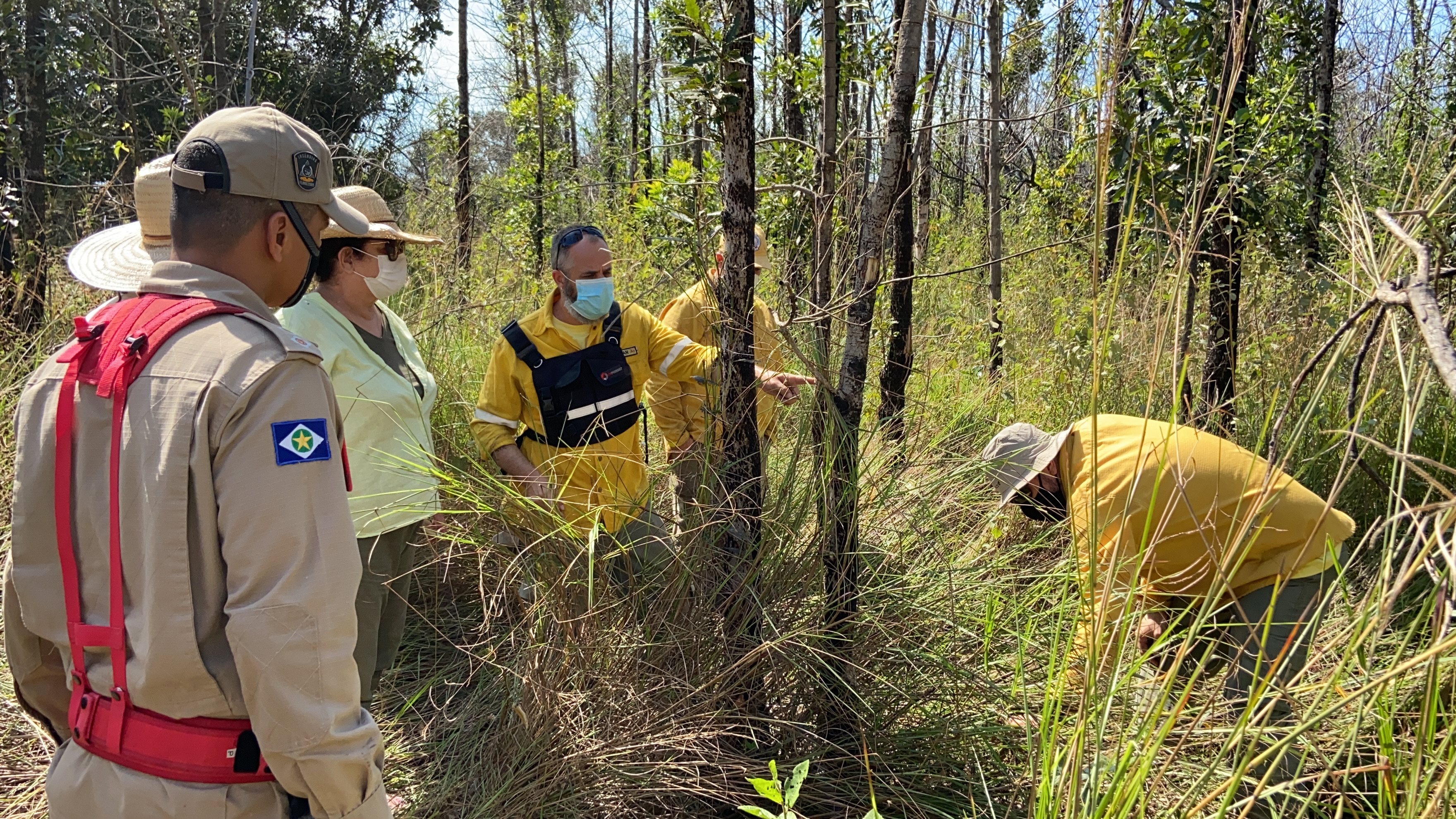 Manejo Integrado do Fogo será implantado pela primeira vez no Pantanal como medida de prevenção a incêndios