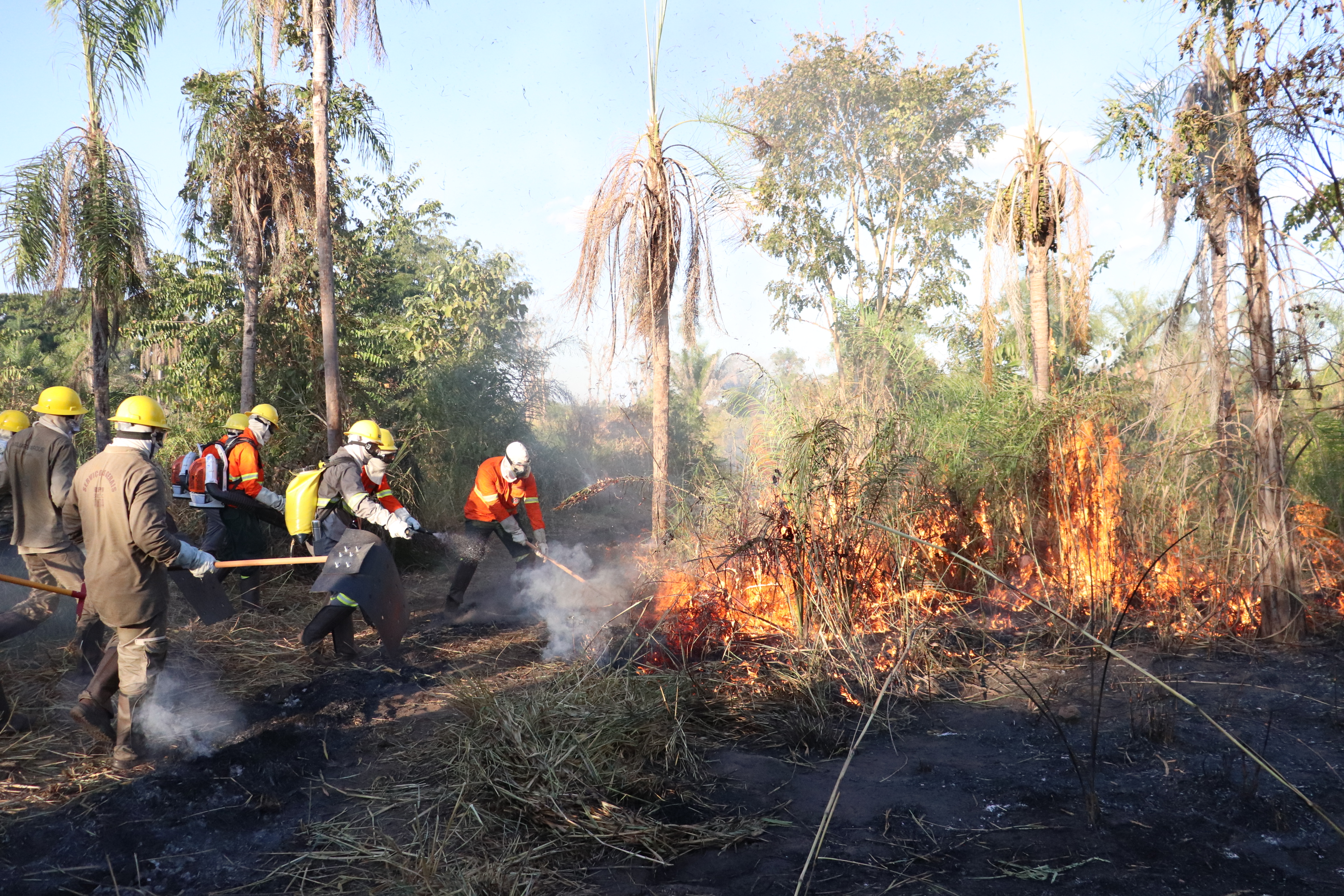 Pantanal de MT tem 1ª Brigada Comunitária formada e estruturada pelo Instituto SOS Pantanal