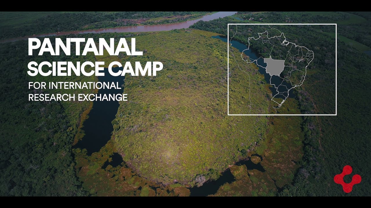 Programa Pantanal Science Camp contribuirá para troca de conhecimento entre Brasil e Suíça e conservação do Pantanal