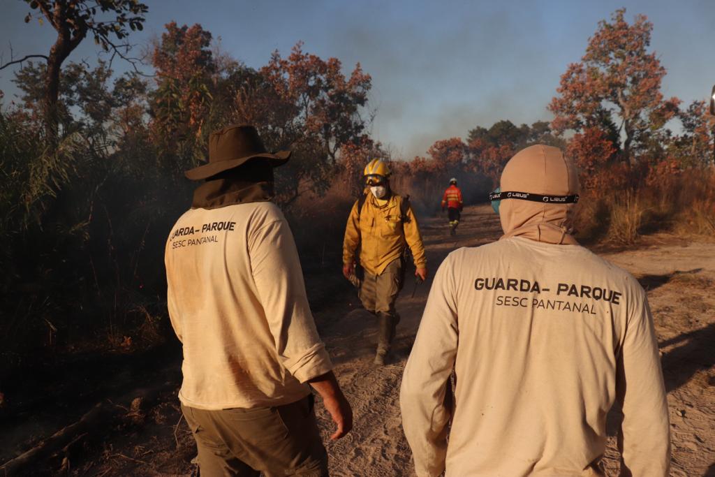 Pesquisa inédita para implantação do Manejo Integrado do Fogo no Pantanal tem início com queima controlada
