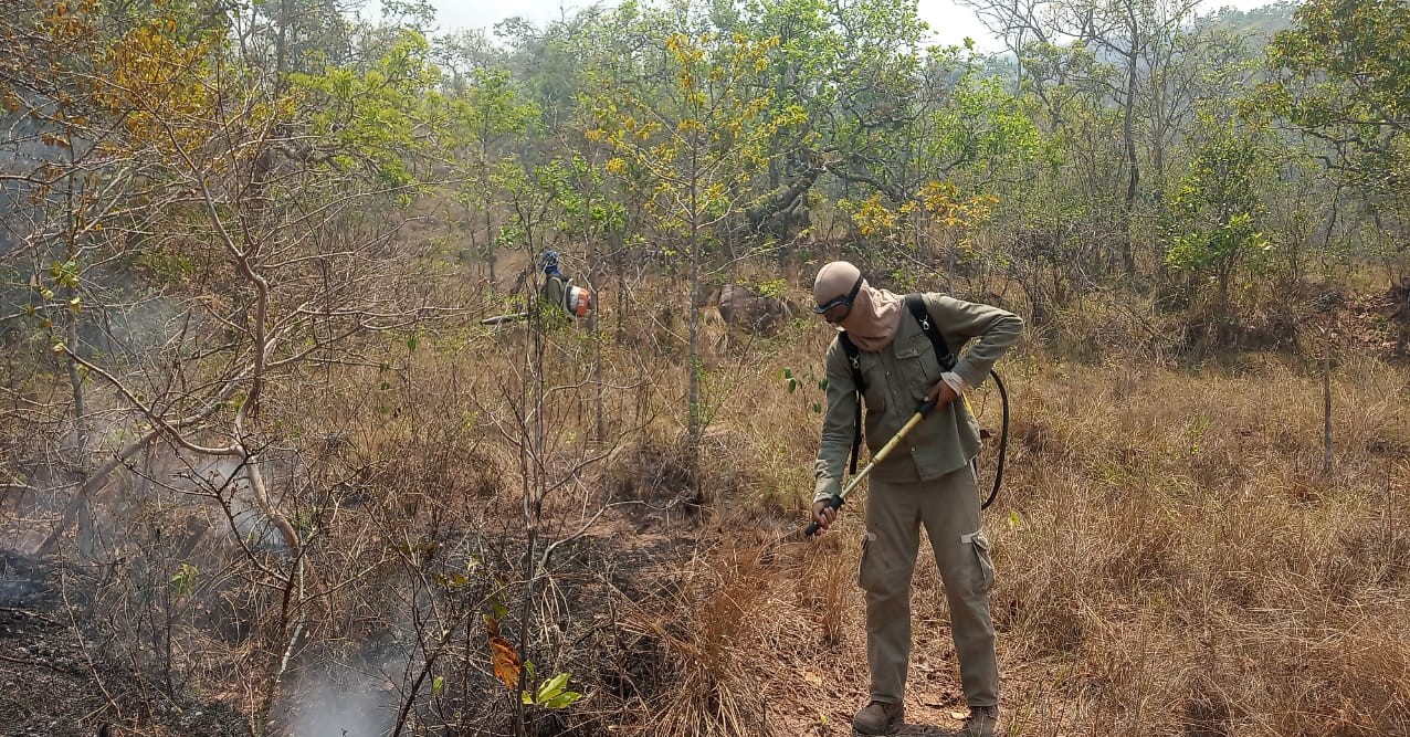 Equipes combatem por terra e ar incêndio que avança pelo Cerrado, na região de Nobres