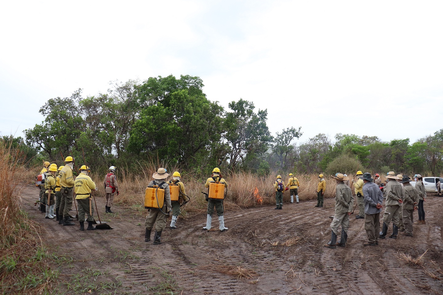Pesquisa que avalia efeito do fogo no Pantanal conclui última etapa com queima realizada no fim da seca