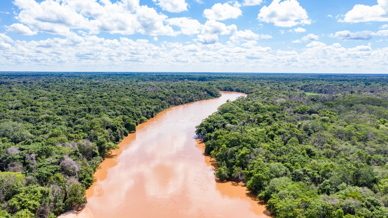 COP26: Áreas Úmidas como principais agentes contra o aquecimento do planeta