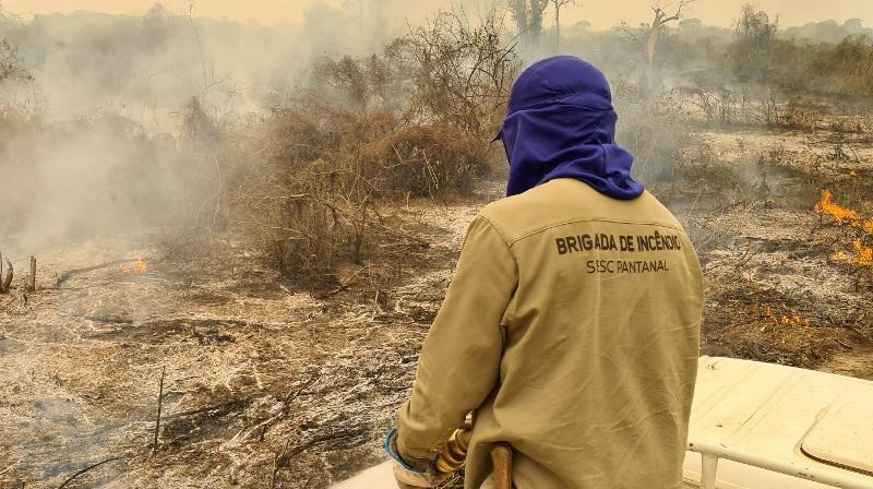Documentário Heróis do Fogo do Sesc Pantanal vence etapa nacional do Prêmio Aberje 2021