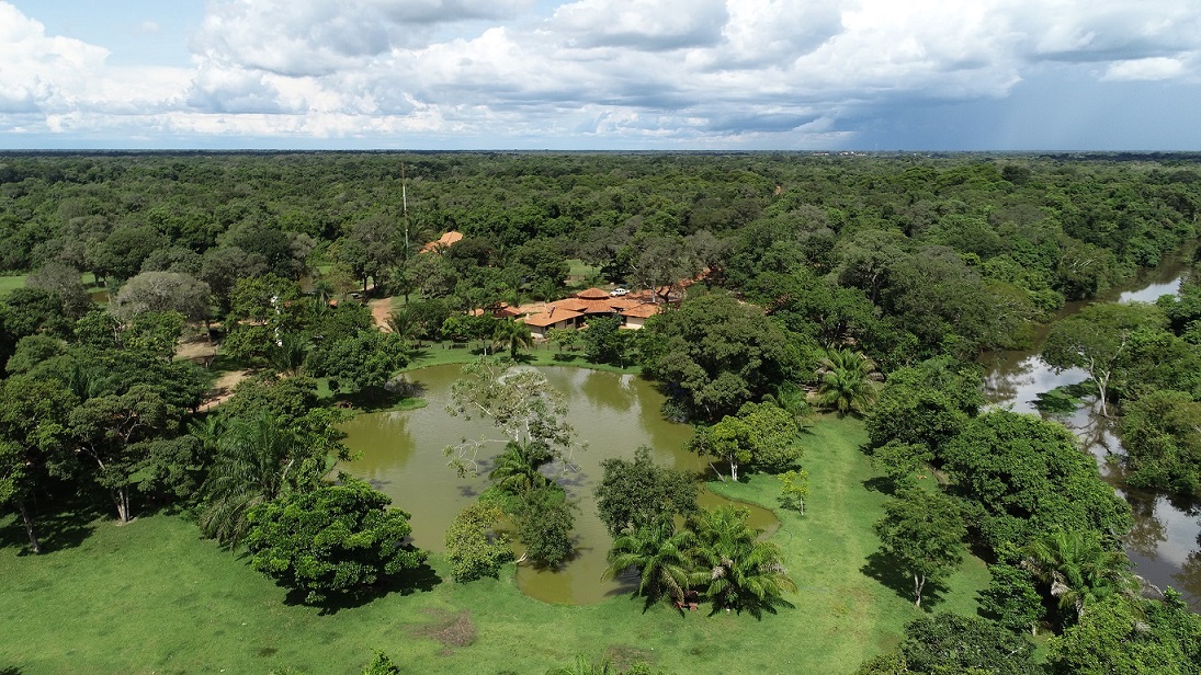 Domingo no Parque acontece durante Carnaval com atividades gratuitas na natureza