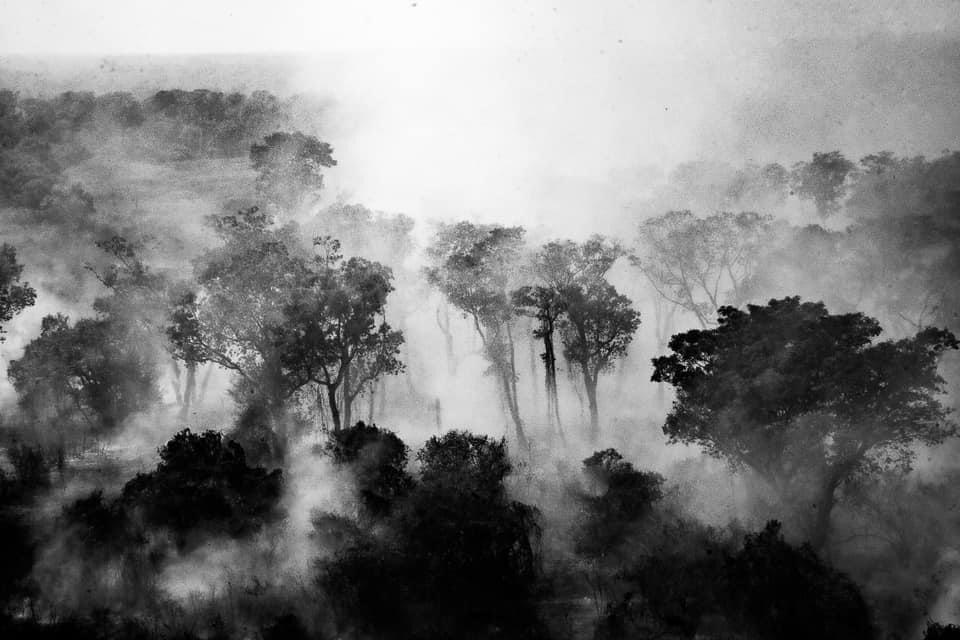 Exposição fotográfica de José Medeiros reúne registros inéditos dos incêndios e da seca no Pantanal