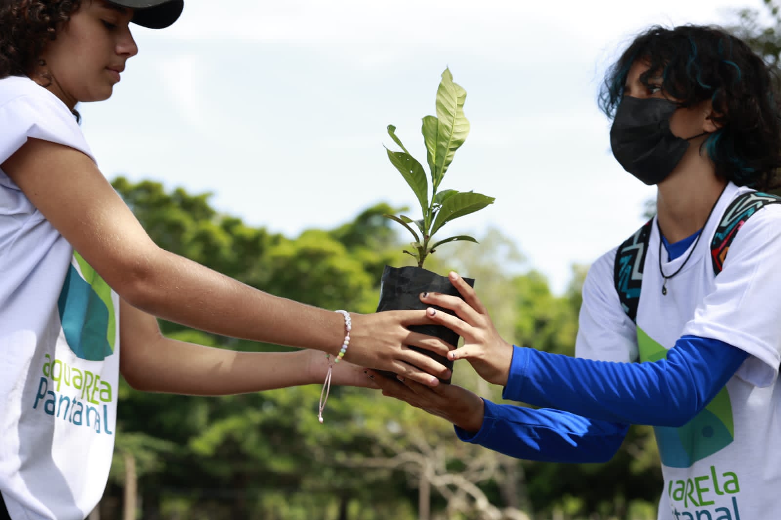 Sesc Pantanal realiza ecoblitz com distribuição de árvores nativas nesta quinta, em Poconé