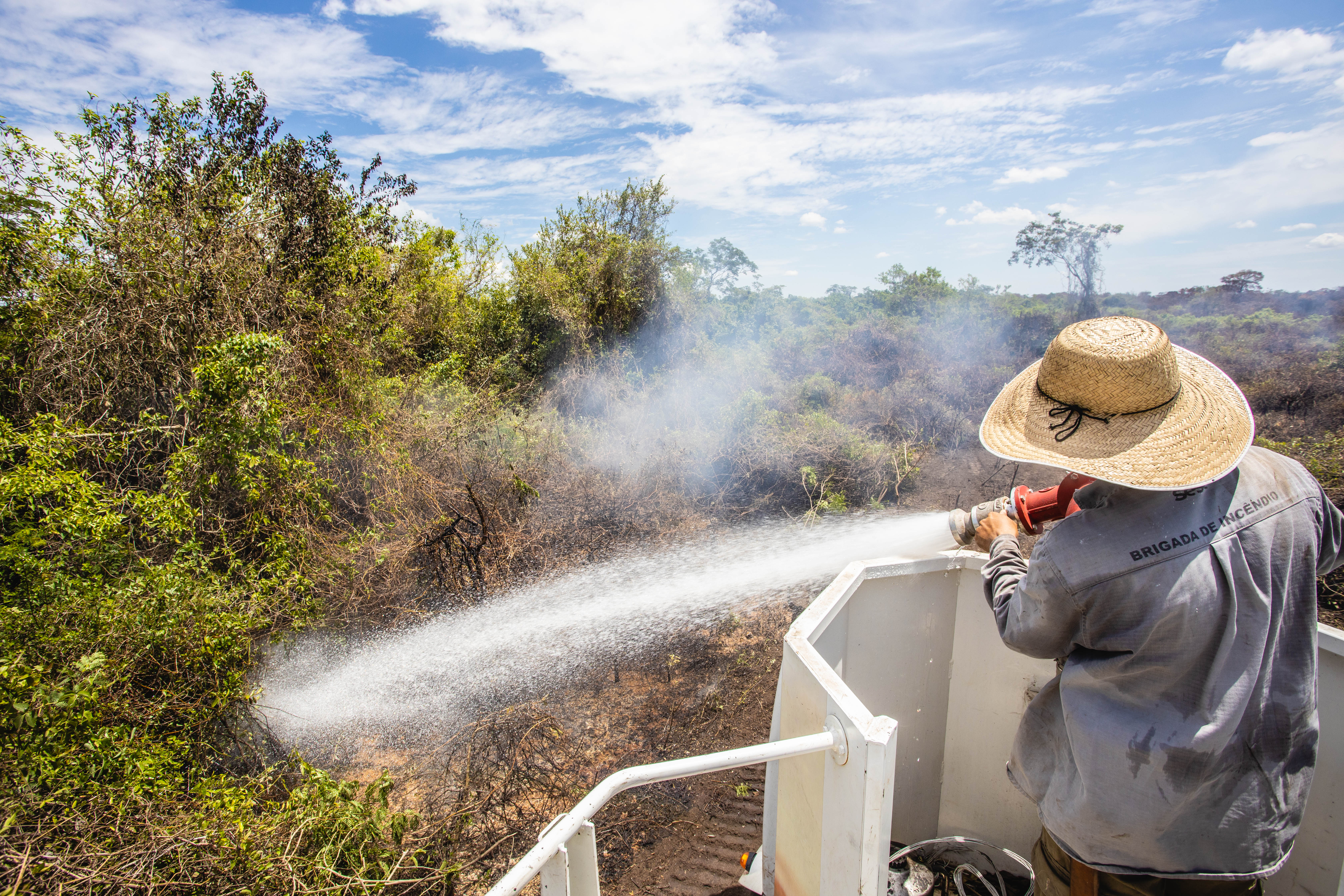 Sesc Pantanal prorroga inscrições para brigada de prevenção e controle a incêndios com salários de até R$ 4,4 mil