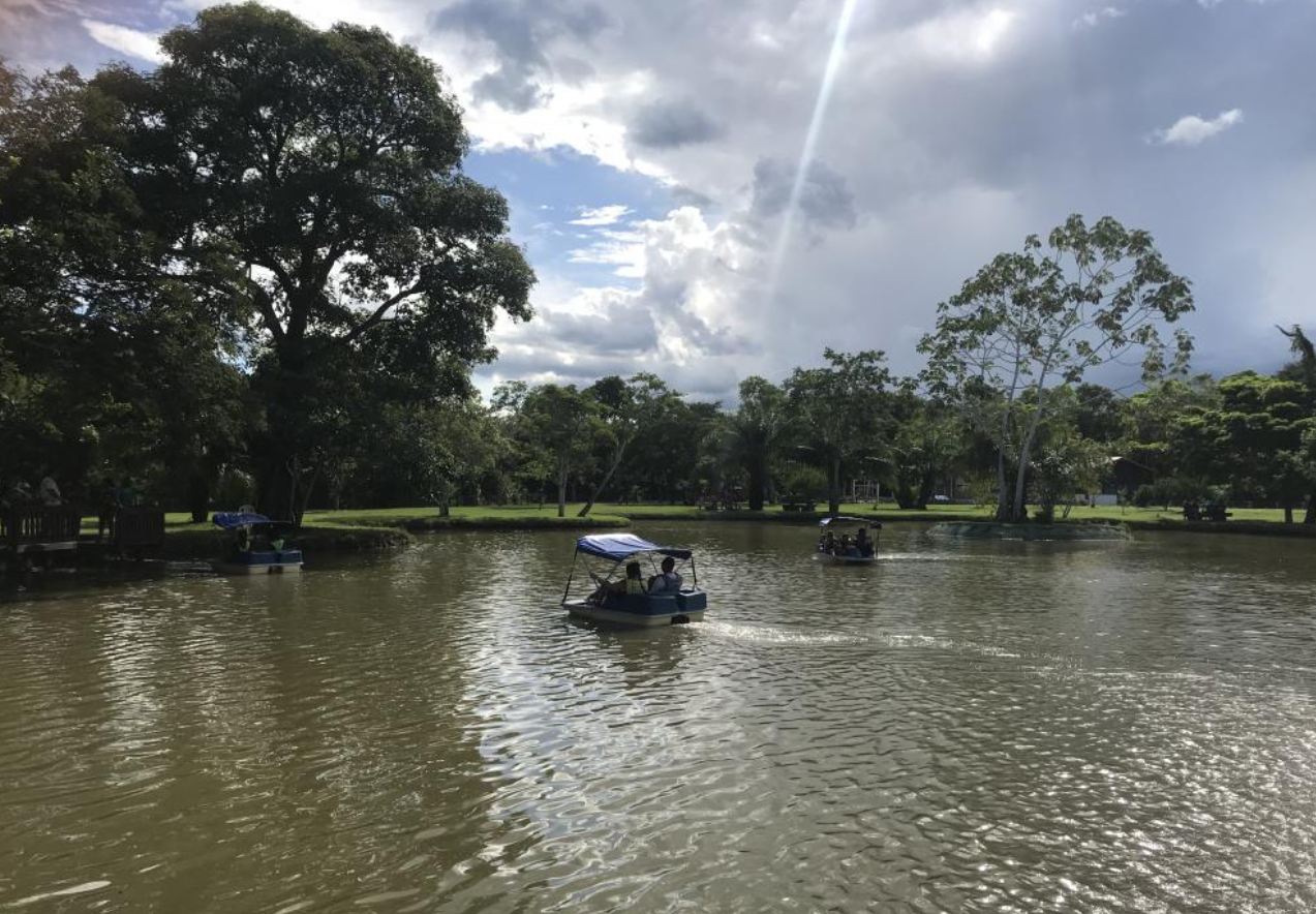 Domingo no Parque tem programação gratuita neste domingo