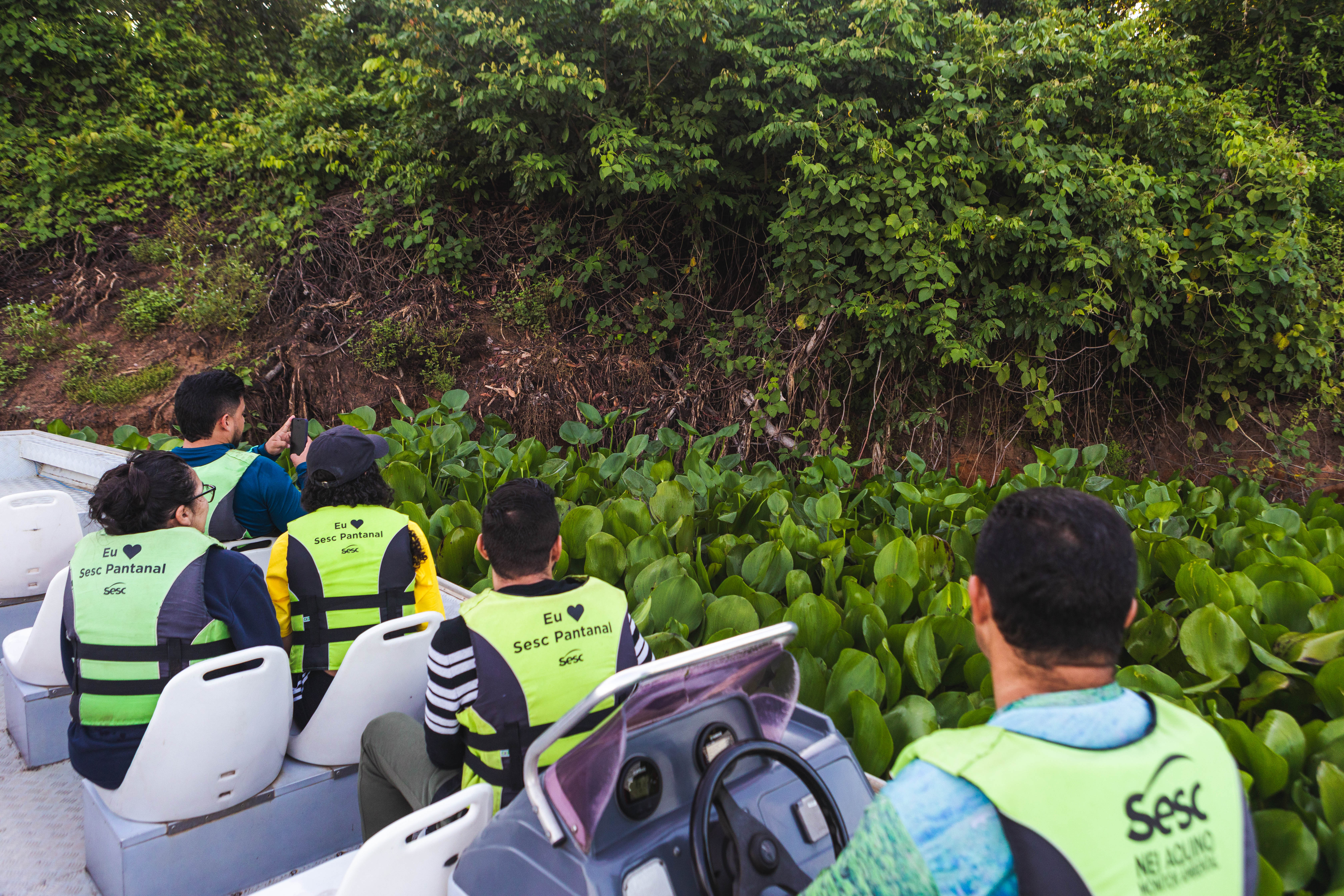 Conheça 10 lugares para se conectar com a natureza em MT