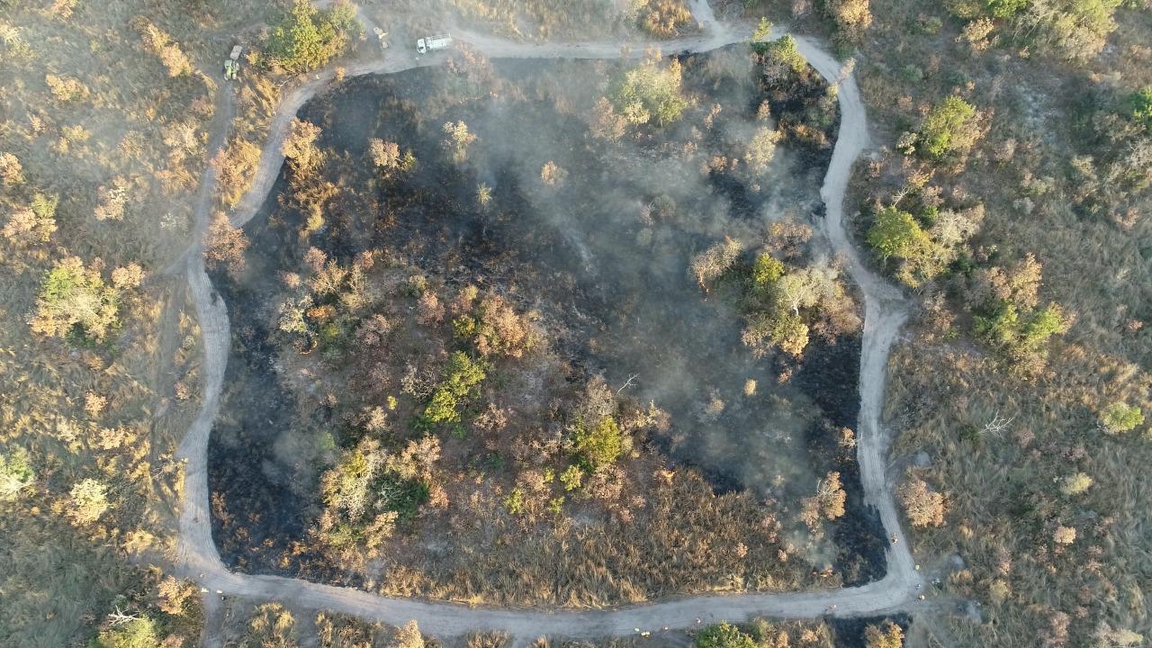 RPPN Sesc Pantanal amplia prevenção a incêndios com implementação de plano de manejo integrado do fogo