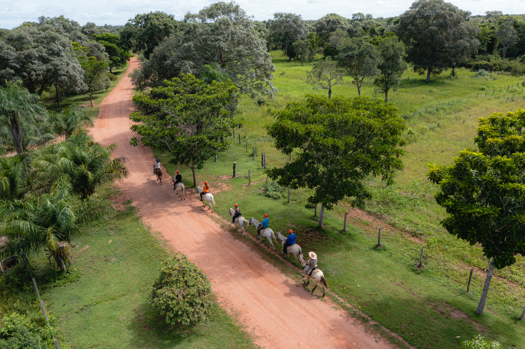 Domingo no Parque terá atividades gratuitas em meio à natureza neste fim de semana