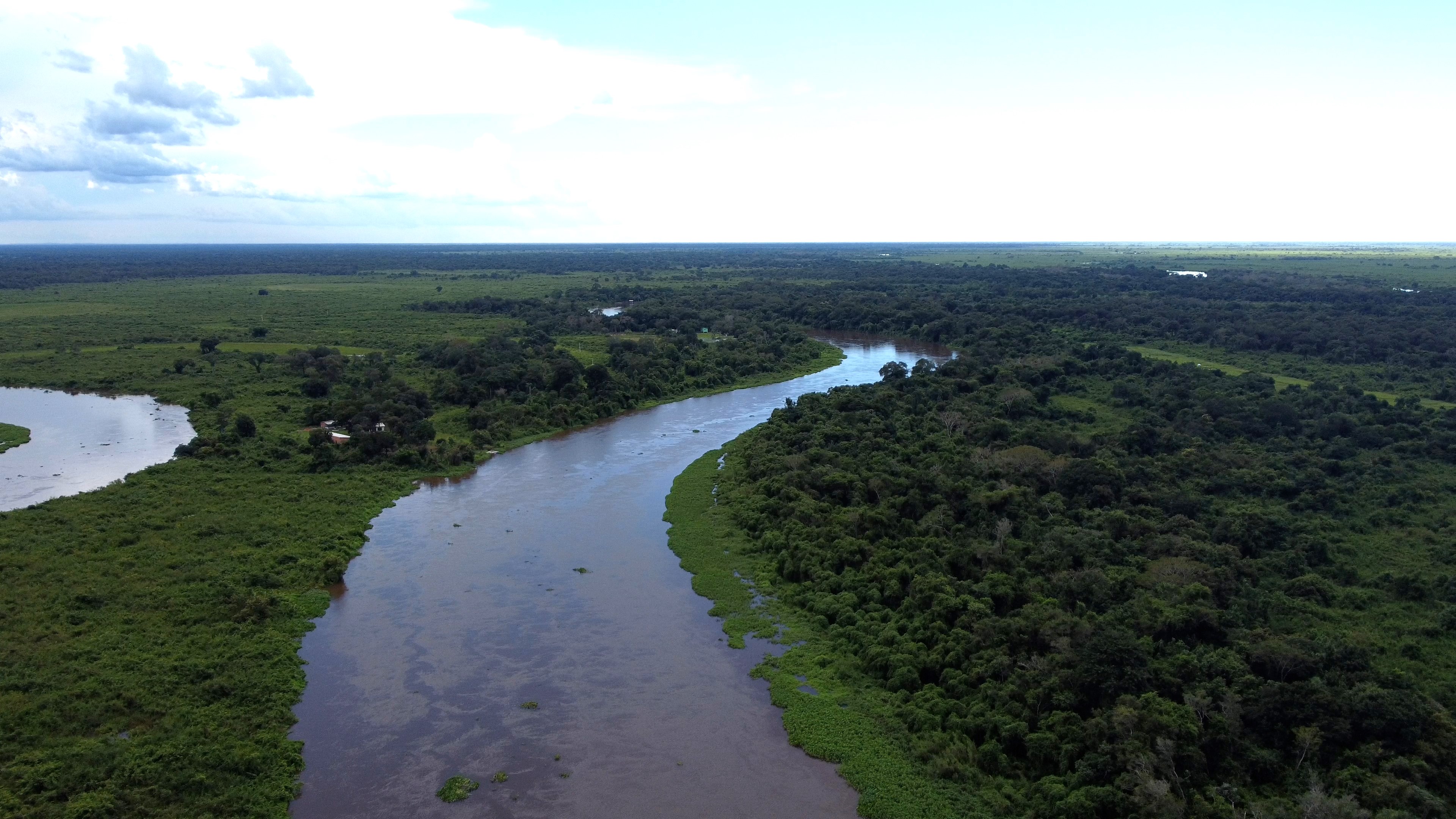 Sesc Pantanal vai discutir conservação de espécies ameaçadas de extinção em reunião do Ministério do Meio Ambiente