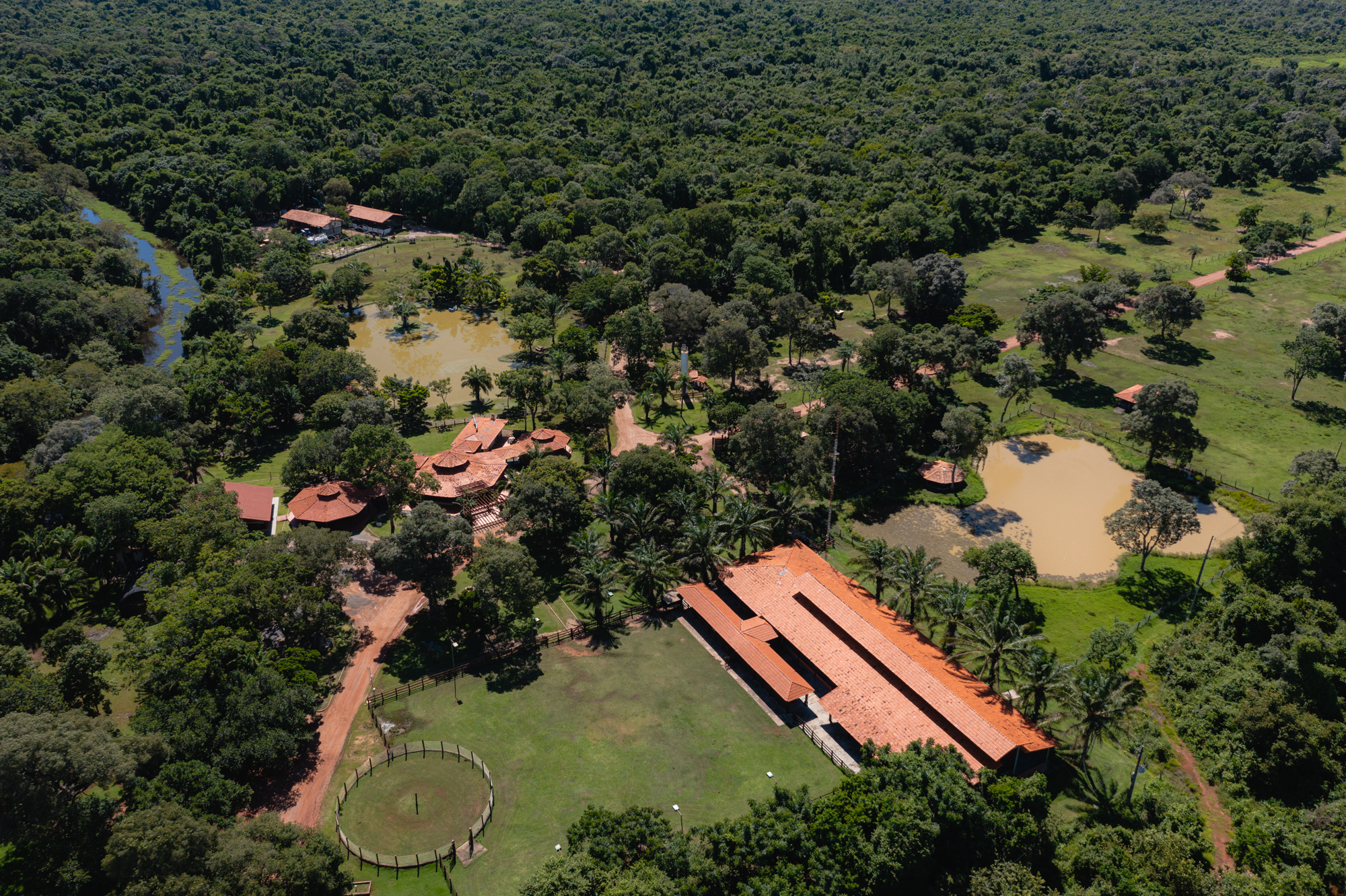 Domingo no Parque oferece programação especial em comemoração ao Mês do Meio Ambiente
