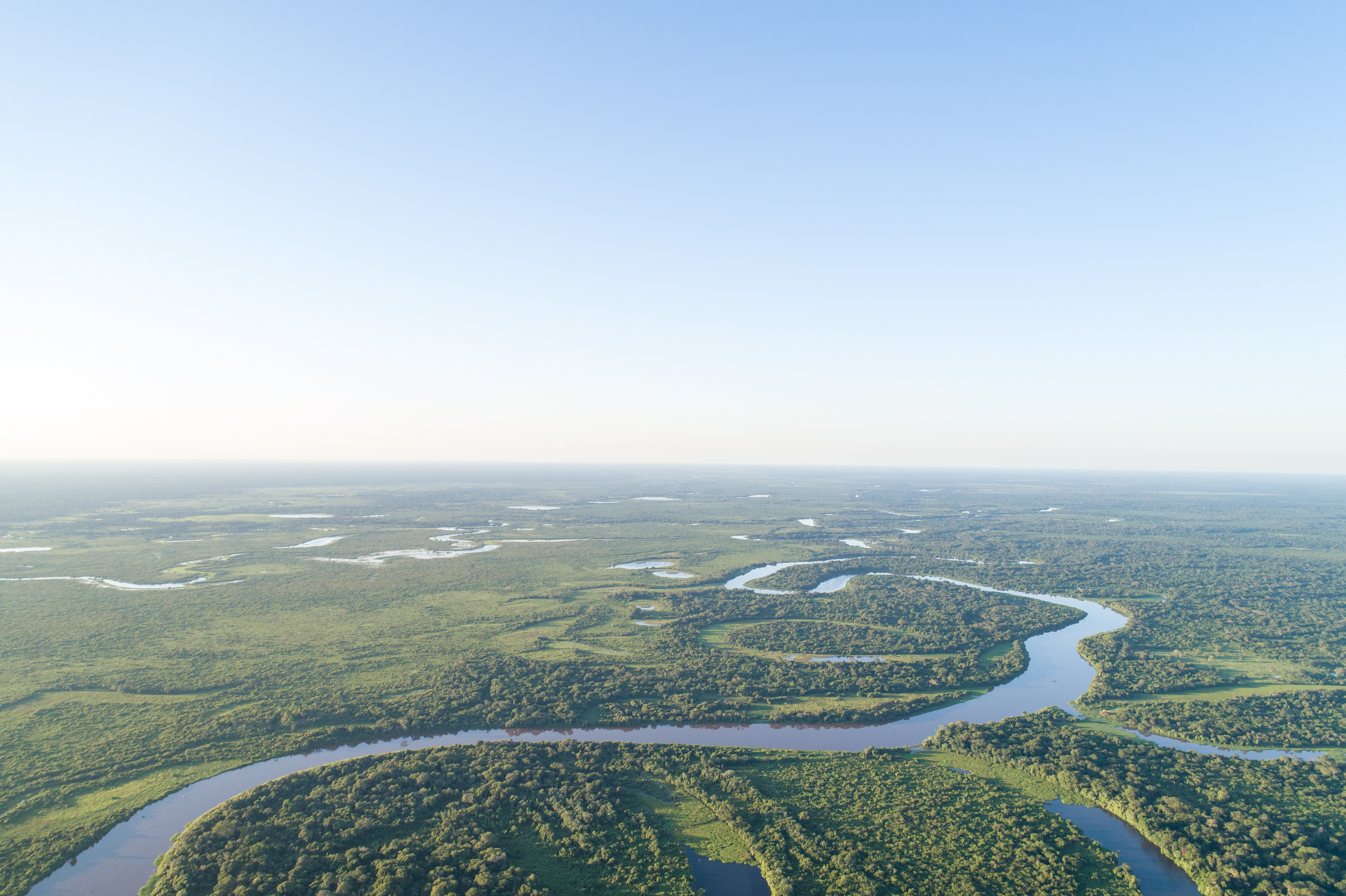 Primeira RPPN criada pelo Sesc no Brasil completa 27 anos de conservação no Pantanal