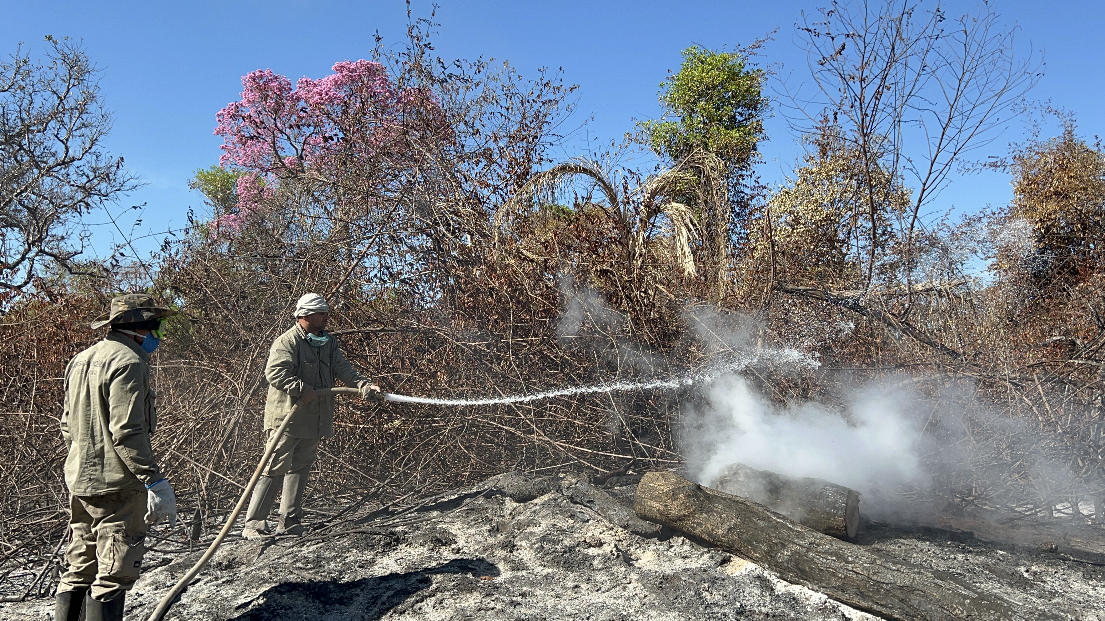 Brigada Sesc Pantanal atua no controle de incêndios florestais em Barão de Melgaço
