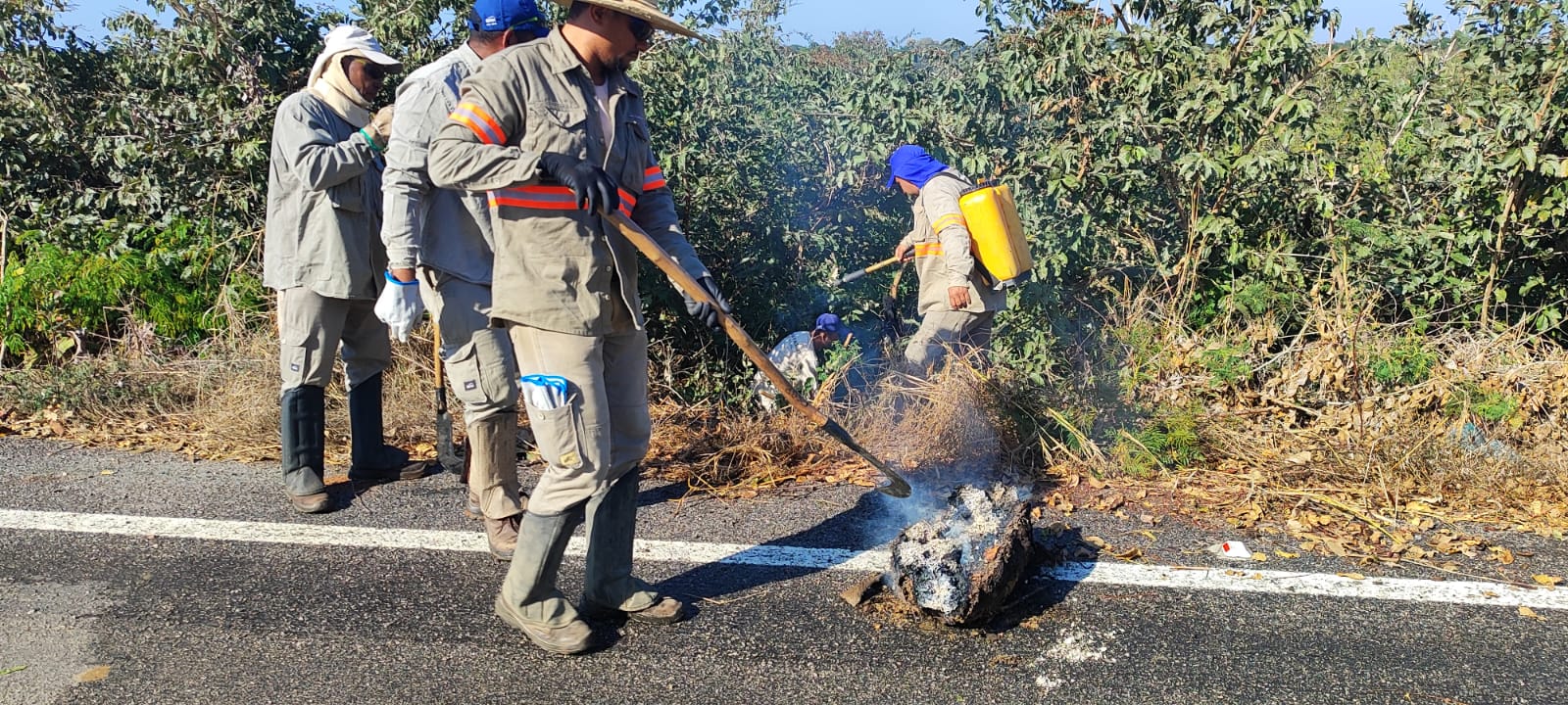 Bombeiros e Brigada do Sesc Pantanal controlam foco de incêndio em Poconé