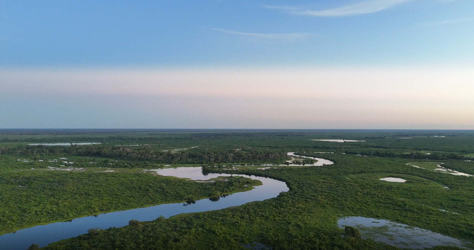 Dia do Pantanal: maior reserva particular do Brasil contribui para conservação do bioma