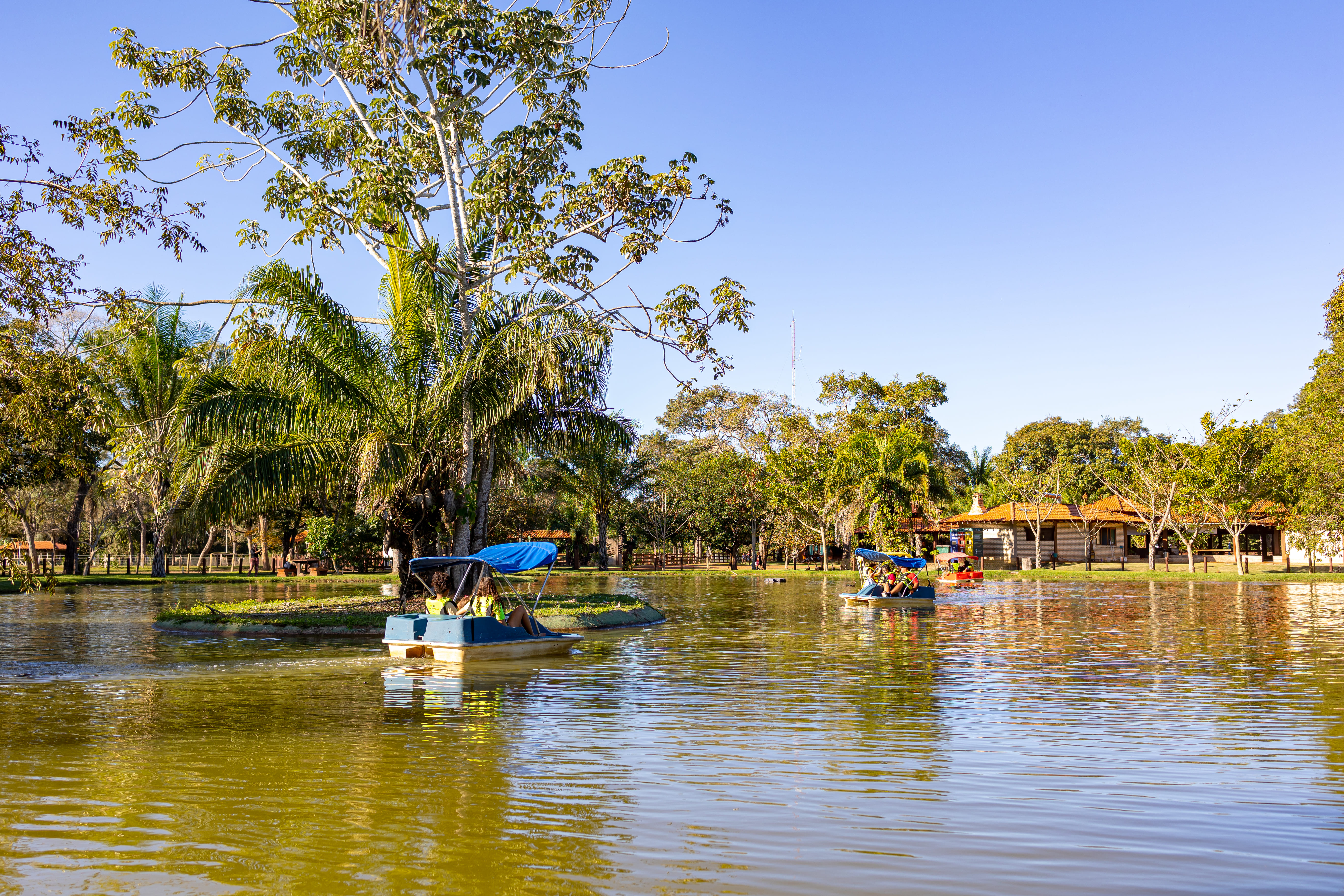 Domingo no Parque tem edição especial em celebração ao Mês do Pantanal